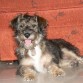 Descansando en casa de mi papá